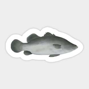 Barramundi Sticker